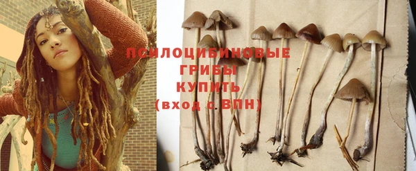 дурь Баксан