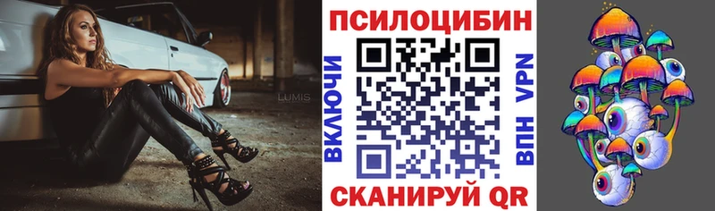 Галлюциногенные грибы Psilocybe  закладки  ссылка на мегу зеркало  Лагань 